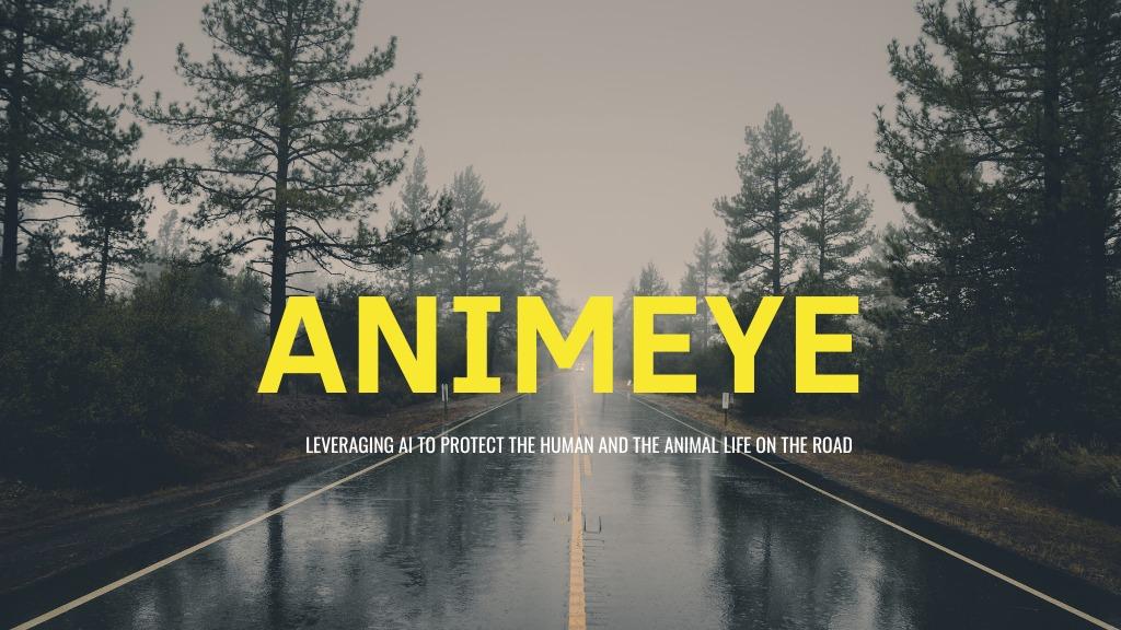 AnimEye  animal detection for road safety 